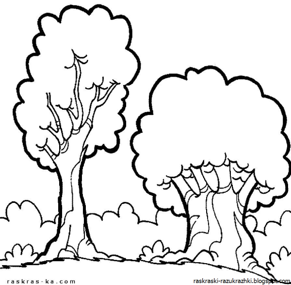 Дерево раскраска для детей