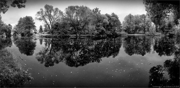 Осенний пейзаж черно белый