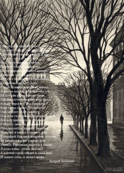 Аллея уходящая в даль