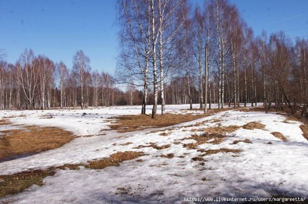 Толстой вот уж снег последний в поле тает