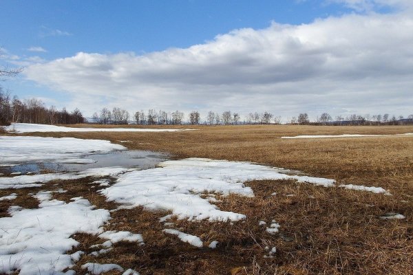 Ранняя Весна в поле