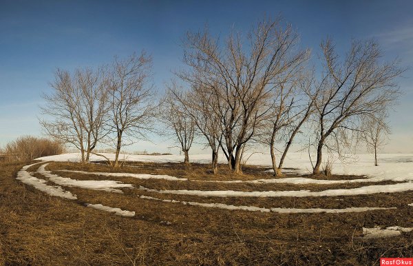 Поле весной