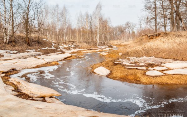 Тает снег бегут ручьи