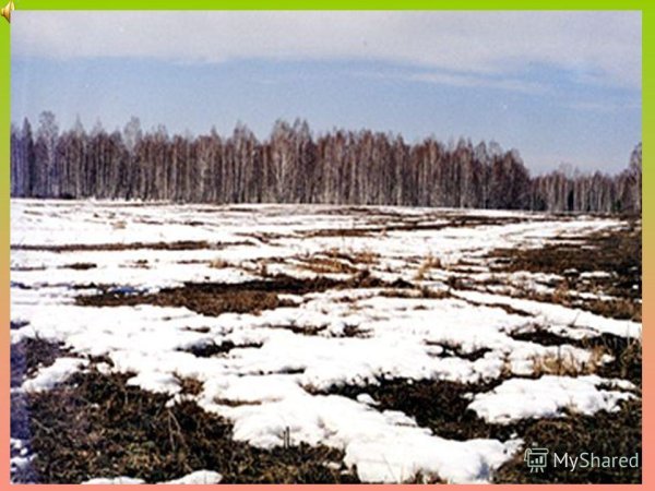 Черные проталины