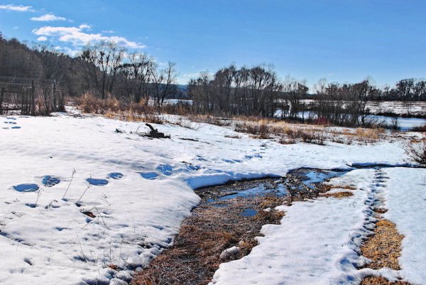 Весенние ручьи в городе