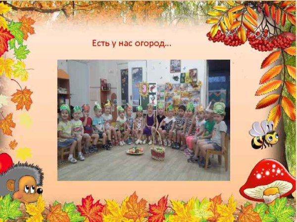 Тема недели осень в гости к нам пришла