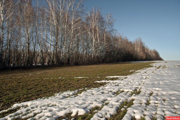 Тают сугробы утихли