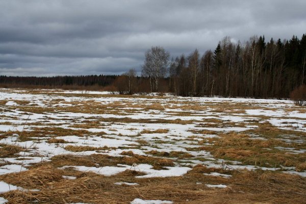 Черные проталины