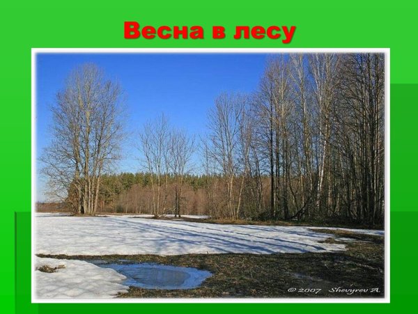 Природа готовится к весне