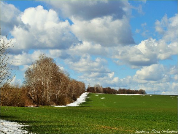 Поле в апреле