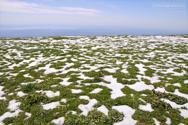 Земля весной