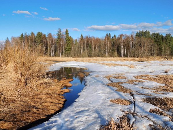 Весенние проталины