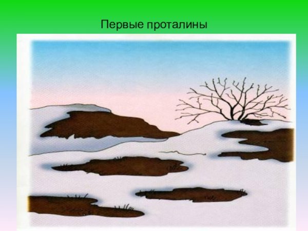 Появляются проталины