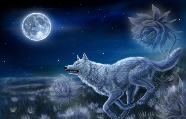 Лунные волки