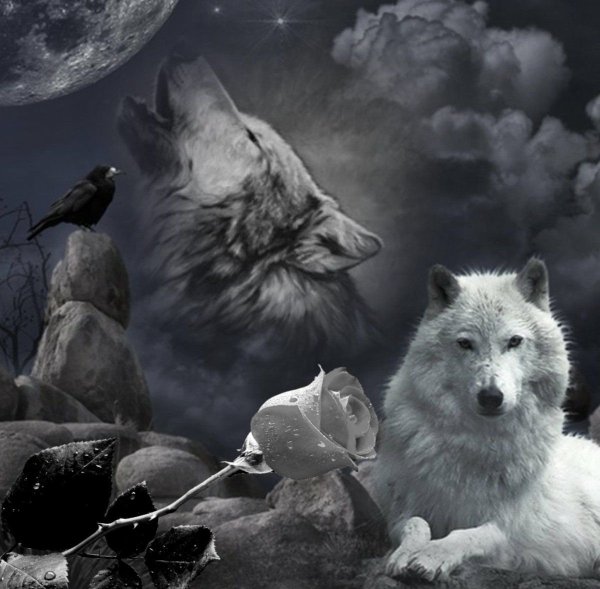 Лунные волки
