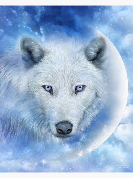 Кэрол Каваларис волки