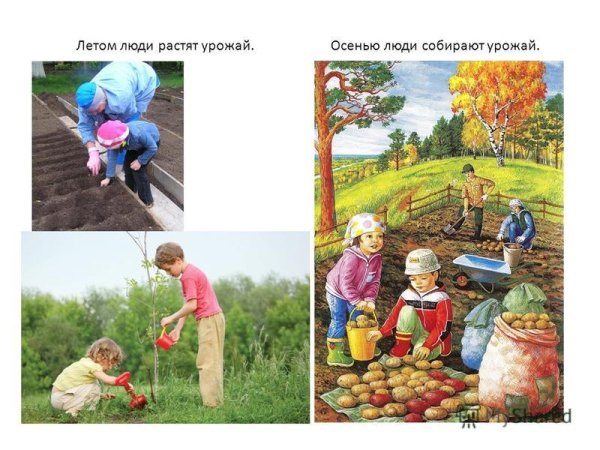 Труд людей осенью