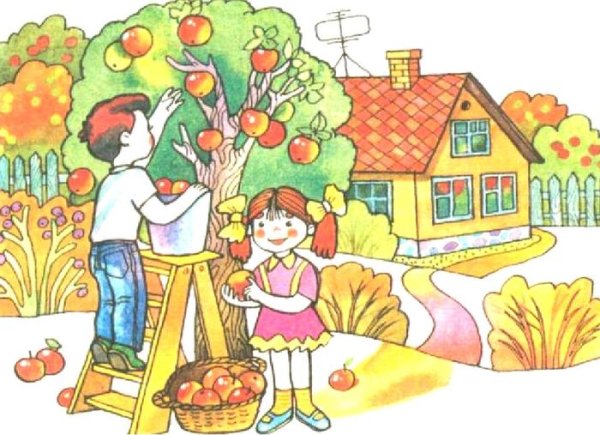 Картина сбор урожая в саду