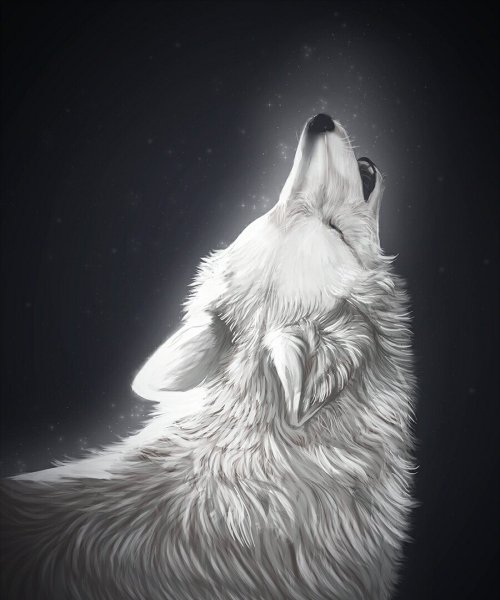 Волк воет на луну