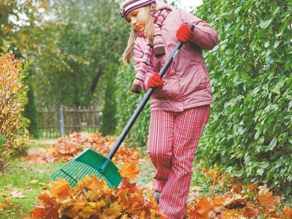 Осенние работы в саду