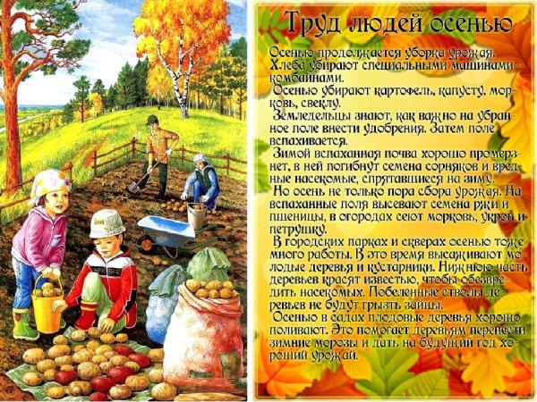 Труд людей осенью