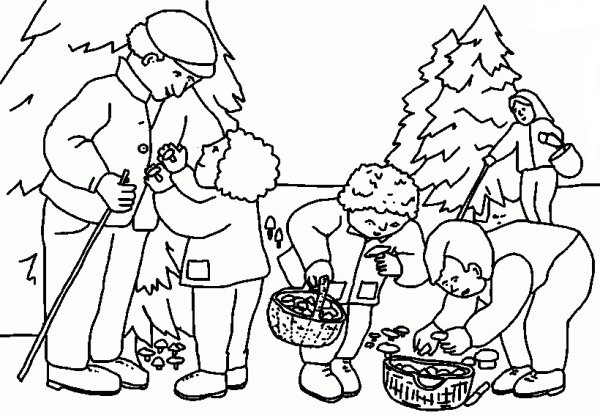 Раскраска сбор грибов