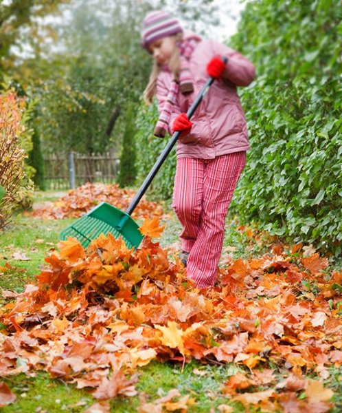 Огород осенью