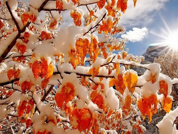 Доброе утро ноябрь