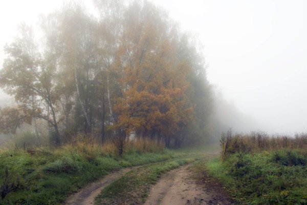 Осенний дождь в деревне