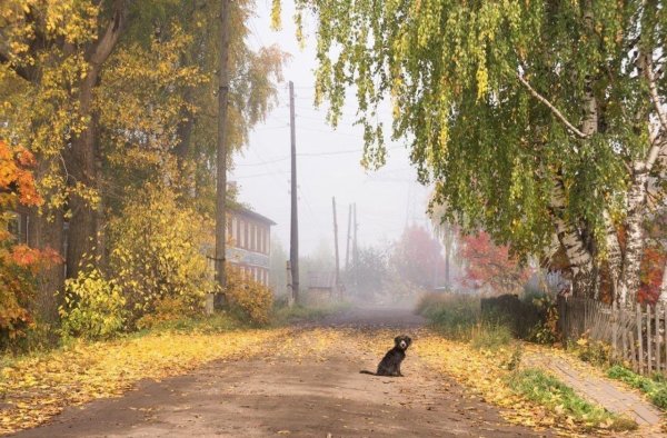 Ранняя осень в деревне