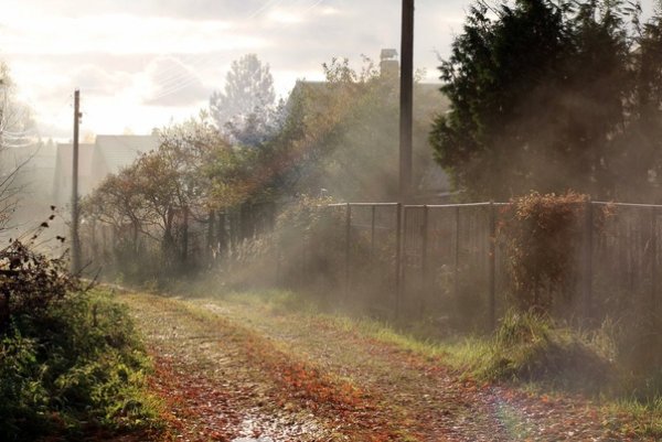 Пасмурная осень в деревне