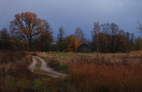 Деревня поздней осенью