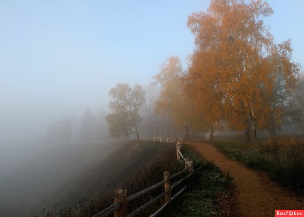 Туман в Плесе