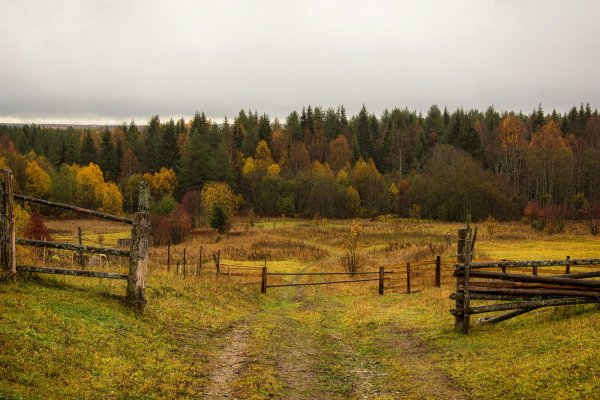 Тверская деревня осень