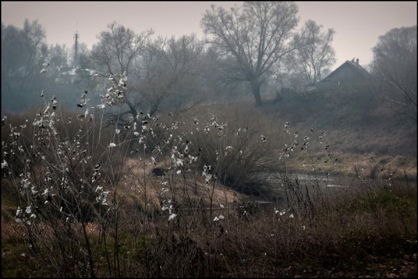 Пасмурная поздняя осень