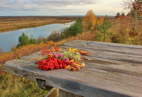 Осень ноябрь в деревне