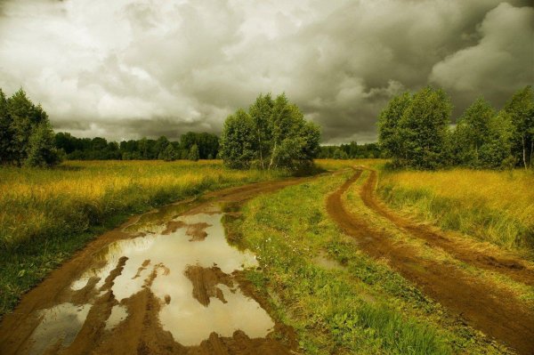 Пейзаж Сельская дорога