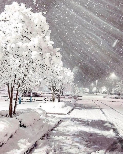 Дождь зимой