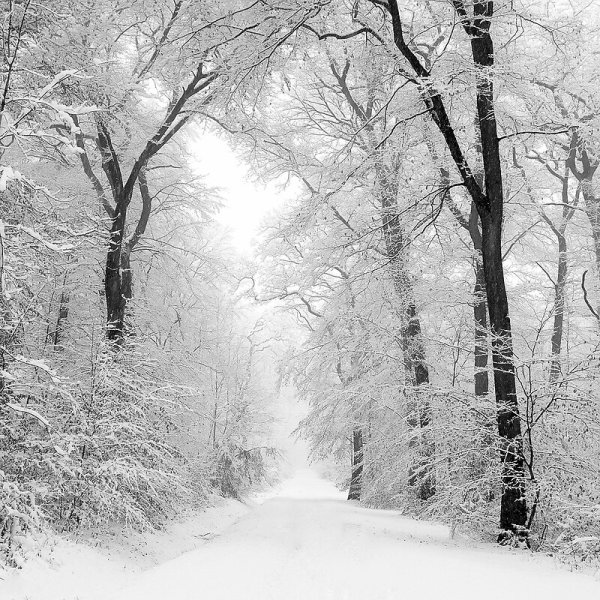 Снег медленно