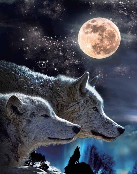 Волк и Луна