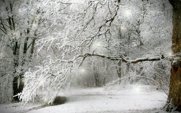 Красивый снегопад