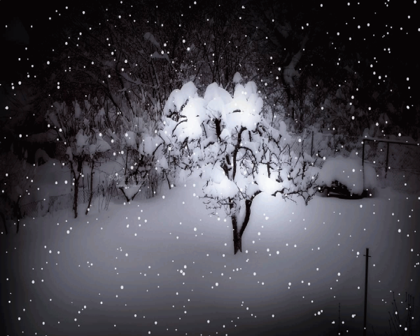 Метель ночью