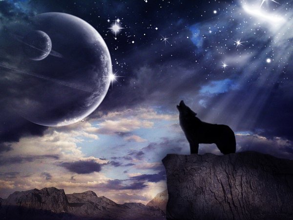 Неоновый волк воющий на луну