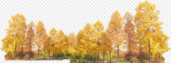 Осенний Лис на прозрачном фоне