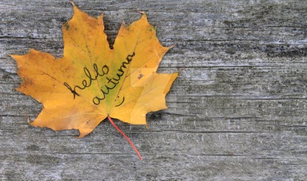 Осенний лист с надписью