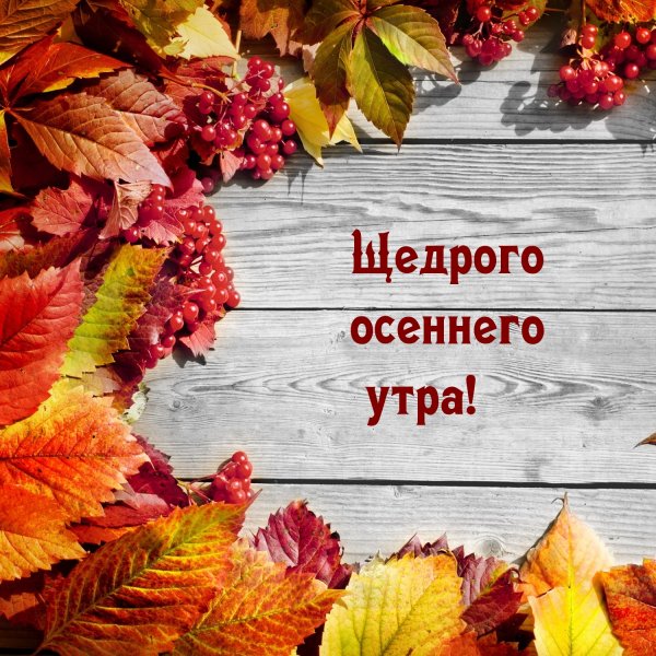 Осенний фотофон с листьями