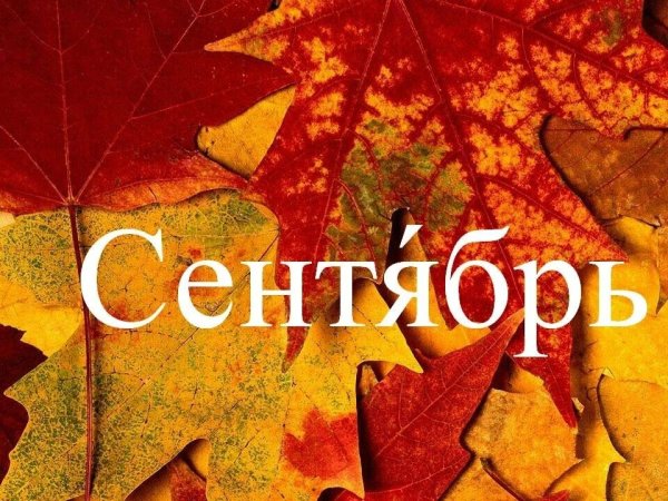 Сентябрь надпись