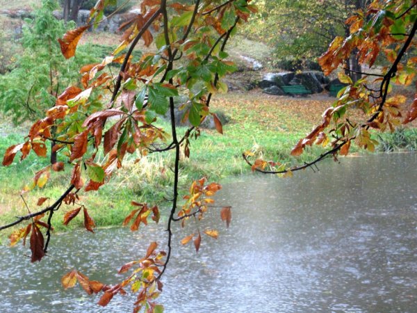 Листопад и дождь
