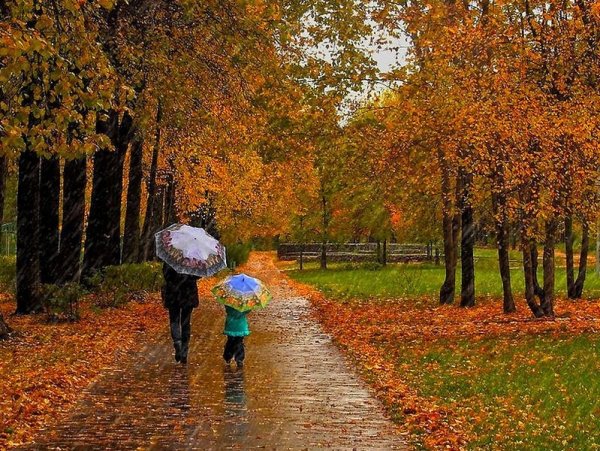 Дождь осенью