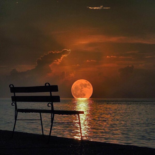 Сидела рядом тишина и понимающе молчала и ничего не